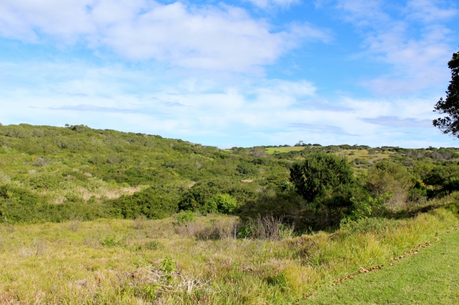 0 Bedroom Property for Sale in Forest Downs Eastern Cape